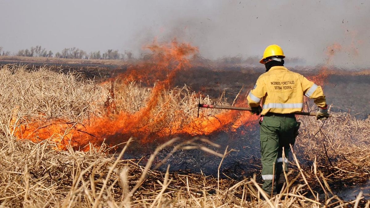 Bombero de la Brigada Forestal combatiendo incendios del delta, 2020.